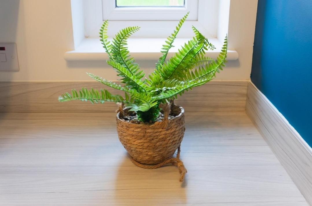 Stylish House With Private Parking Villa Glasgow Eksteriør bilde